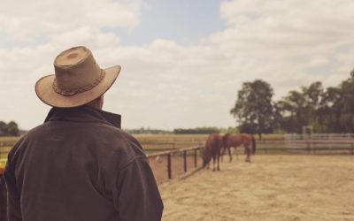Documentation : Equitation de ranch